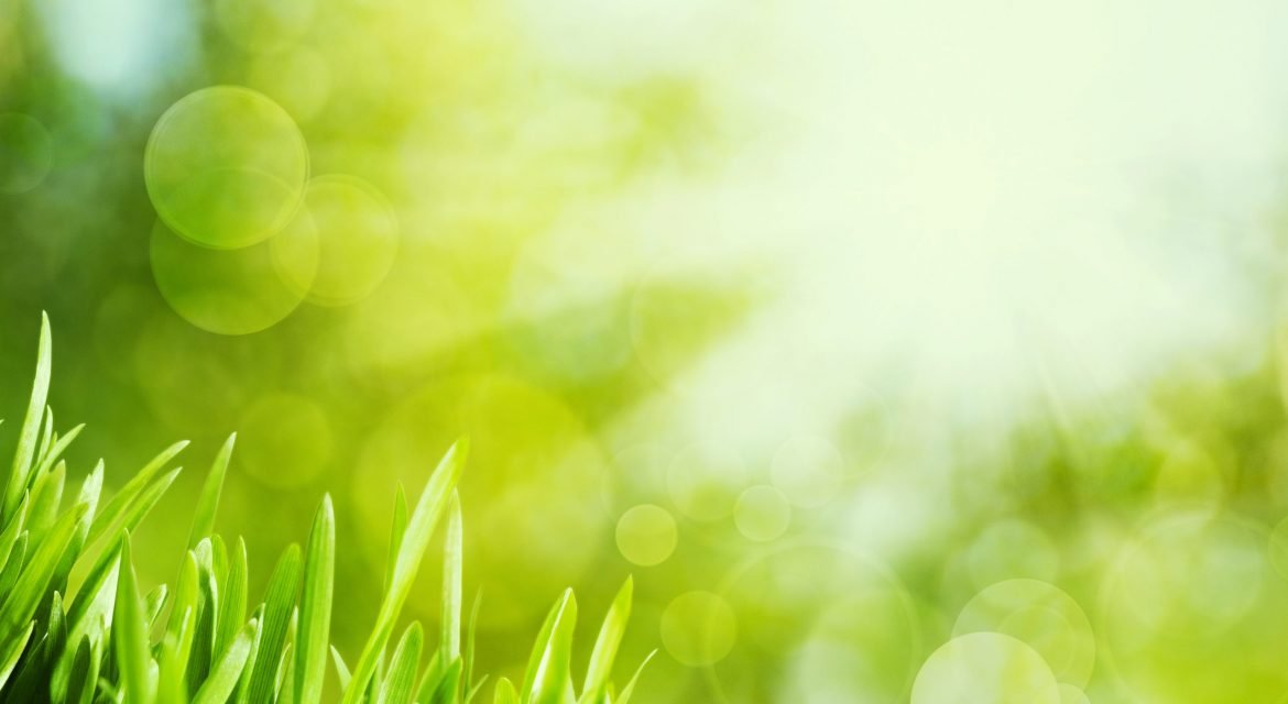 Scrisoare deschisa Euractiv: Industria nucleara este pregatita pentru a participa la revenirea economica a Europei